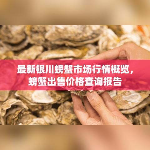最新银川螃蟹市场行情概览，螃蟹出售价格查询报告