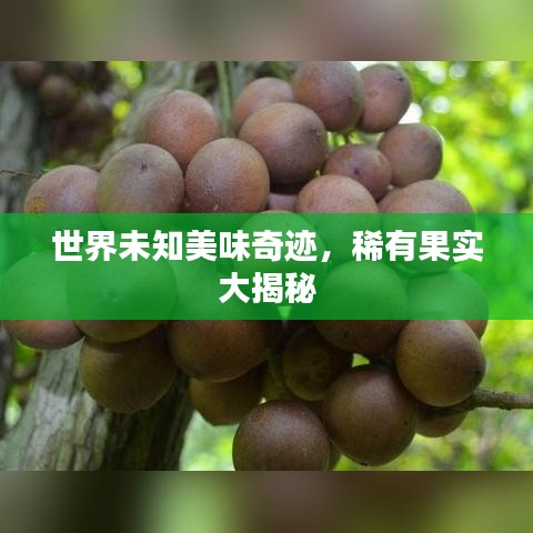 世界未知美味奇迹，稀有果实大揭秘
