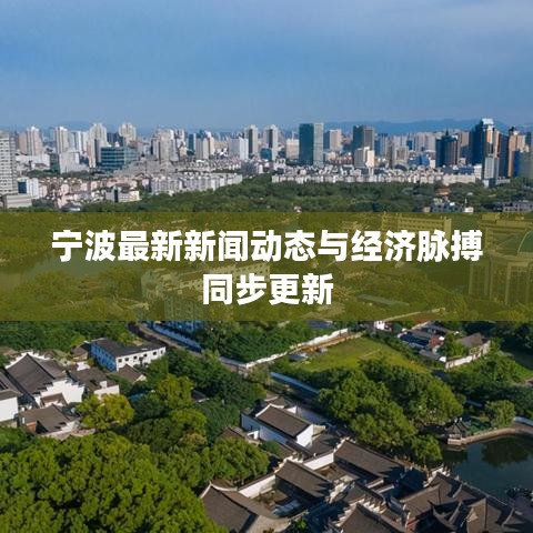 宁波最新新闻动态与经济脉搏同步更新
