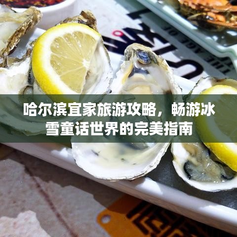 哈尔滨宜家旅游攻略，畅游冰雪童话世界的完美指南