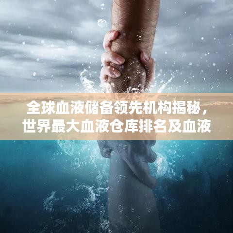 全球血液储备领先机构揭秘，世界最大血液仓库排名及血液管理探秘