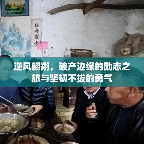 2025年6月3日 第2页