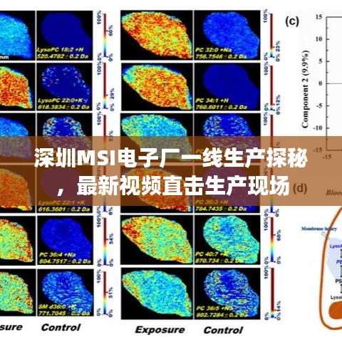 深圳MSI电子厂一线生产探秘，最新视频直击生产现场