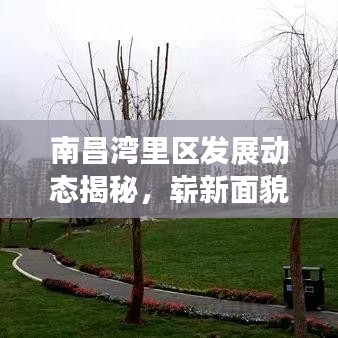南昌湾里区发展动态揭秘，崭新面貌新闻头条
