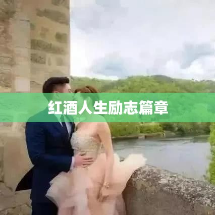 红酒人生励志篇章