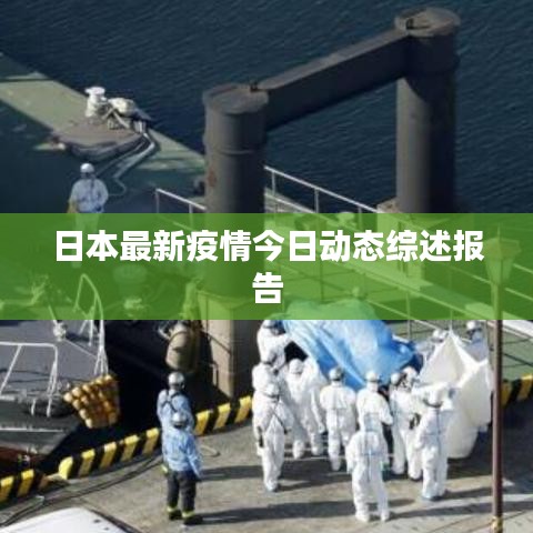 日本最新疫情今日动态综述报告