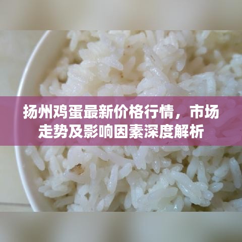扬州鸡蛋最新价格行情，市场走势及影响因素深度解析