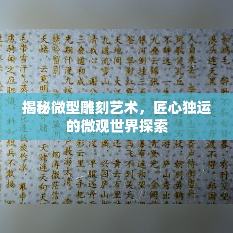 揭秘微型雕刻艺术，匠心独运的微观世界探索