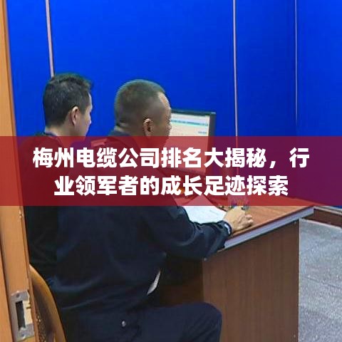 梅州电缆公司排名大揭秘，行业领军者的成长足迹探索