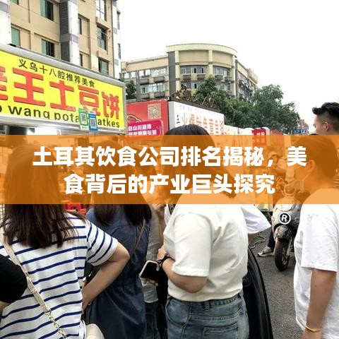 土耳其饮食公司排名揭秘，美食背后的产业巨头探究