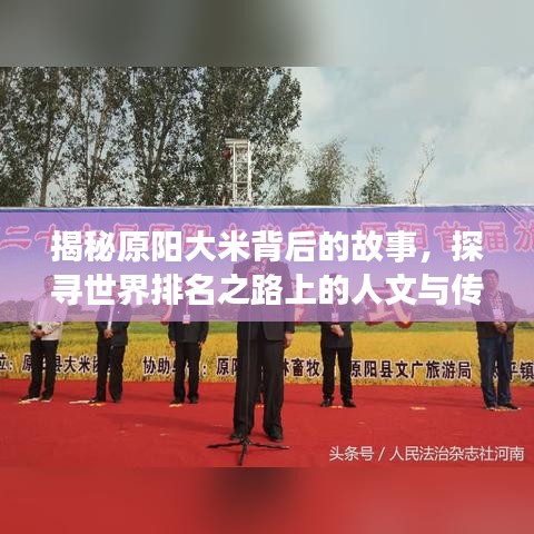 揭秘原阳大米背后的故事，探寻世界排名之路上的人文与传奇！