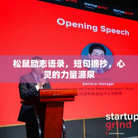 松鼠励志语录，短句摘抄，心灵的力量源泉