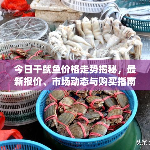 今日干鱿鱼价格走势揭秘，最新报价、市场动态与购买指南