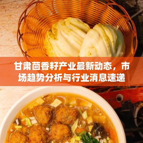 甘肃茴香籽产业最新动态，市场趋势分析与行业消息速递