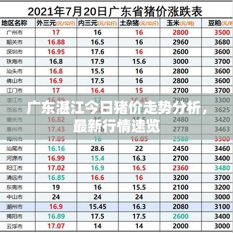 广东湛江今日猪价走势分析，最新行情速览