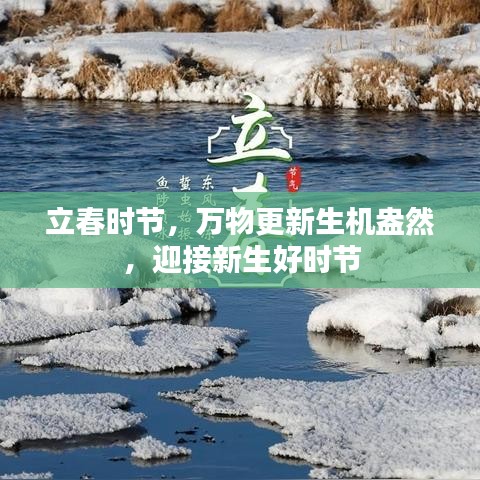 立春时节，万物更新生机盎然，迎接新生好时节