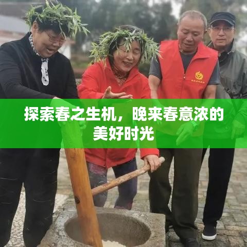 探索春之生机，晚来春意浓的美好时光