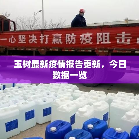 玉树最新疫情报告更新，今日数据一览
