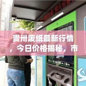 贵卅废纸最新行情，今日价格揭秘，市场走势及影响因素深度剖析