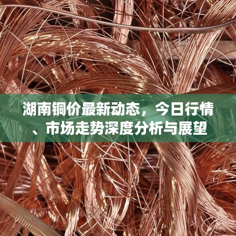 湖南铜价最新动态，今日行情、市场走势深度分析与展望