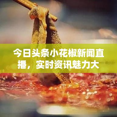 今日头条小花椒新闻直播，实时资讯魅力大揭秘
