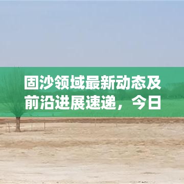 固沙领域最新动态及前沿进展速递，今日新闻全解析