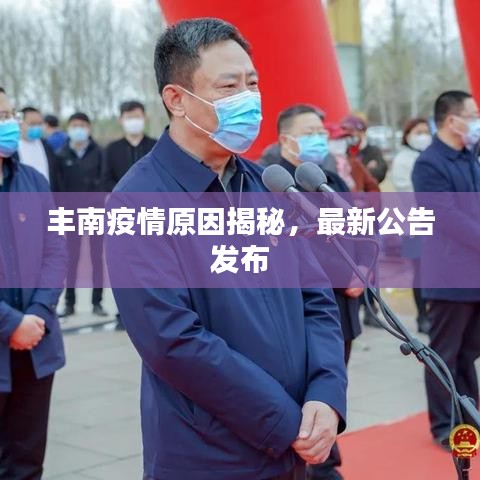 丰南疫情原因揭秘，最新公告发布