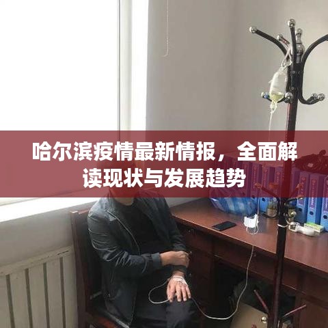 哈尔滨疫情最新情报，全面解读现状与发展趋势
