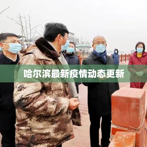 哈尔滨最新疫情动态更新