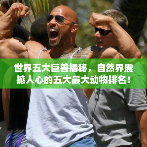 世界五大巨兽揭秘，自然界震撼人心的五大最大动物排名！
