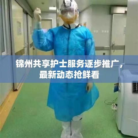 锦州共享护士服务逐步推广，最新动态抢鲜看