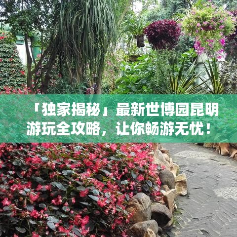 「独家揭秘」最新世博园昆明游玩全攻略，让你畅游无忧！