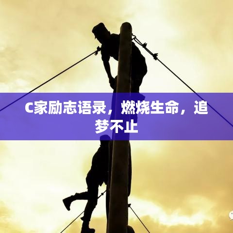 2025年6月5日 第37页