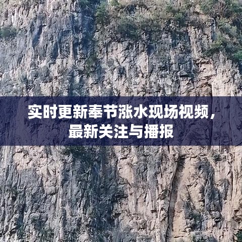 实时更新奉节涨水现场视频，最新关注与播报