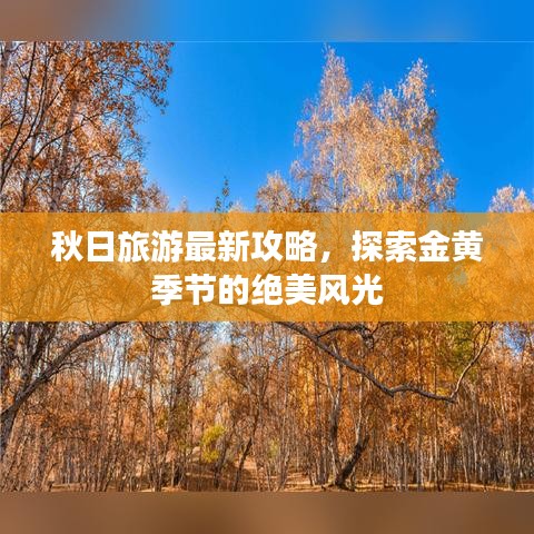 秋日旅游最新攻略，探索金黄季节的绝美风光