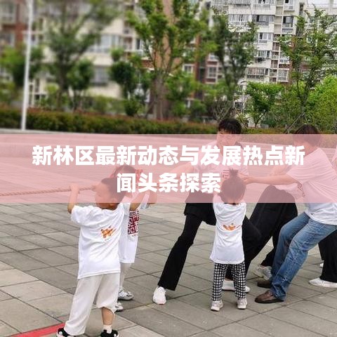 新林区最新动态与发展热点新闻头条探索