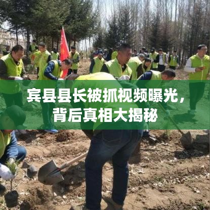 宾县县长被抓视频曝光，背后真相大揭秘