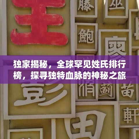 独家揭秘，全球罕见姓氏排行榜，探寻独特血脉的神秘之旅