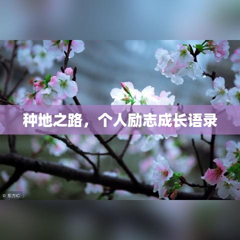 种地之路，个人励志成长语录