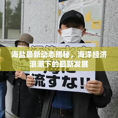 海盐最新动态揭秘，海洋经济浪潮下的最新发展
