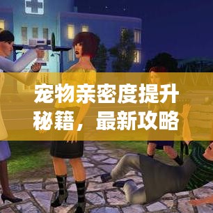 宠物亲密度提升秘籍，最新攻略分享