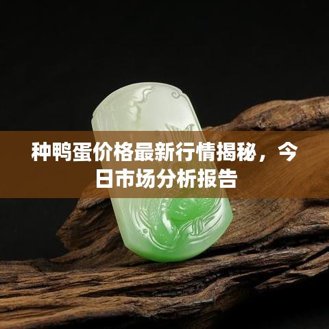种鸭蛋价格最新行情揭秘，今日市场分析报告