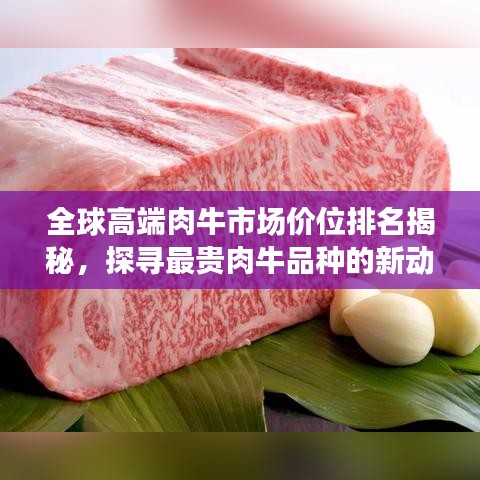 全球高端肉牛市场价位排名揭秘，探寻最贵肉牛品种的新动态