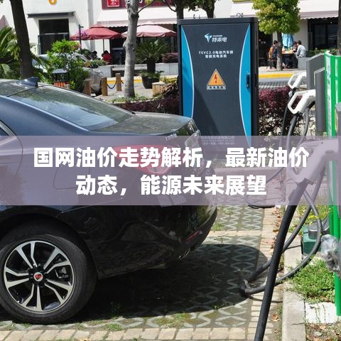 国网油价走势解析，最新油价动态，能源未来展望