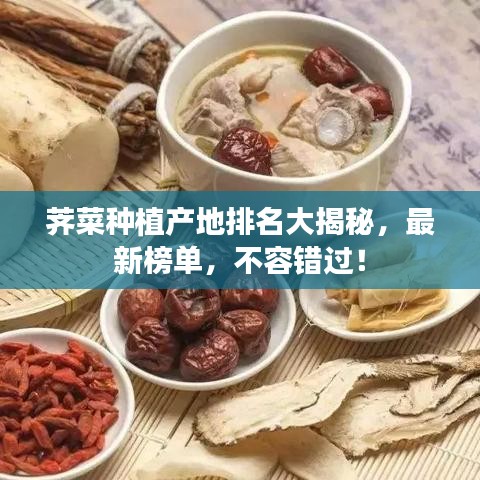 荠菜种植产地排名大揭秘，最新榜单，不容错过！
