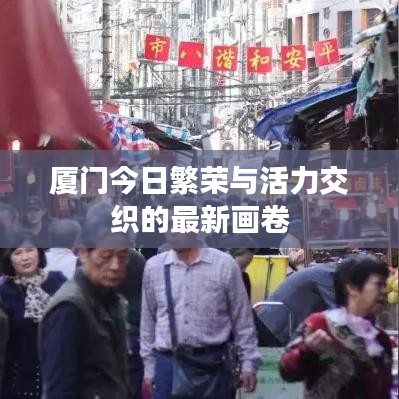 厦门今日繁荣与活力交织的最新画卷