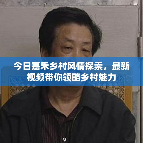 今日嘉禾乡村风情探索，最新视频带你领略乡村魅力