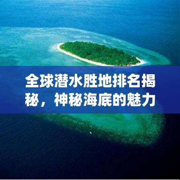 全球潜水胜地排名揭秘，神秘海底的魅力之旅