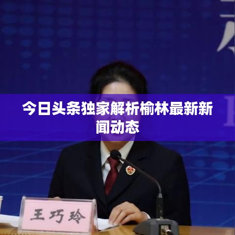 今日头条独家解析榆林最新新闻动态