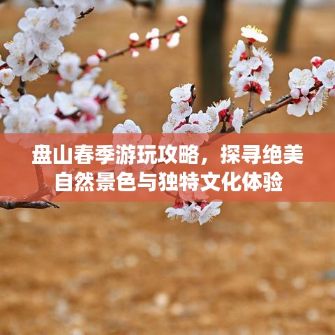 盘山春季游玩攻略，探寻绝美自然景色与独特文化体验